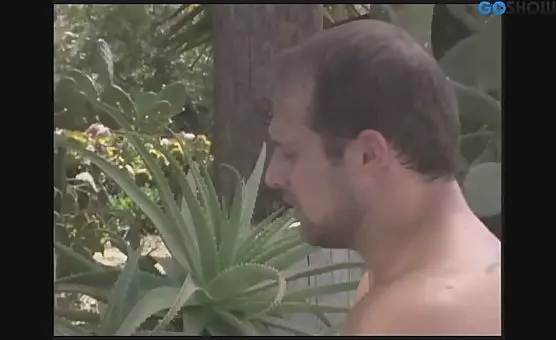 Sweet Cocksuckers Sucking and Fucking